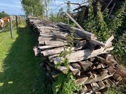 Bild 2:Buchenscheiter (Hartholz).