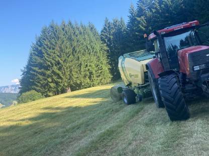 Bild 2:80 Bio-Heuballen ampferfrei