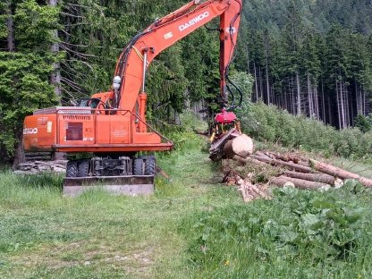 Bild 4:Forstdienstleistungen