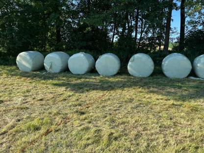 Silageballen