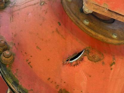 Bild 5:Kuhn GA 7302 DL Doppel-Seitenschwader