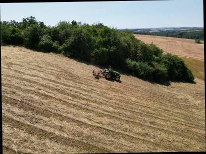 Bild 4:Heu für Pferde - Magerheu