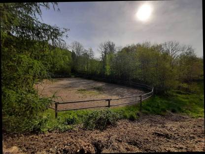 Bild 8:Pferdeeinstellplatz