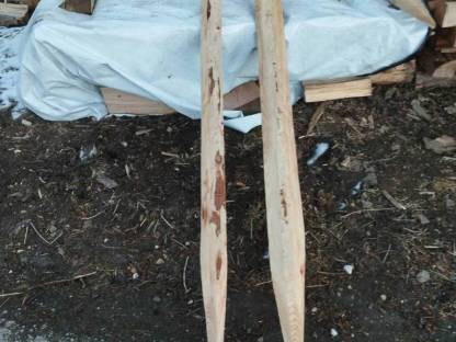 Bild 2:Lärchenstempel