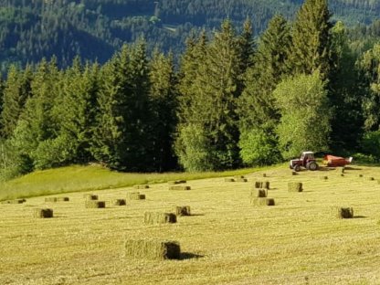 Heu in Kleinballen