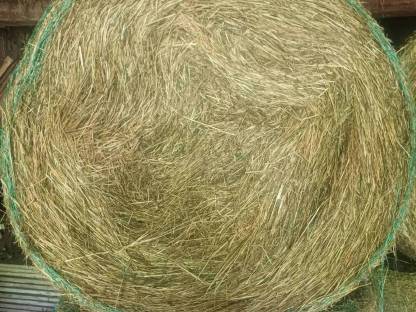 Bild 2:Heuballen 1. Schnitt 2025