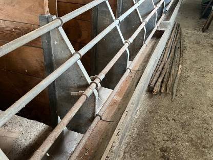 Bild 4:Aufstallung Schweine