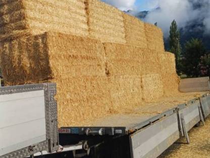 Bild 4:Stroh geschnitten, gemulcht und gemahlen