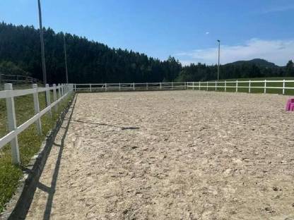 Bild 5:Einstellplätze für Pferde