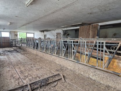 Bild 3:Aufstallung, Fressgitter, Liegeboxen, Tränken, Abtrennungen