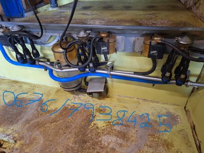 Bild 2:DeLaval Melkstand u. Milchtank