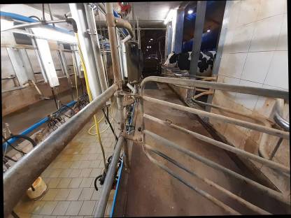 Bild 5:Melkstand DeLaval 2x5