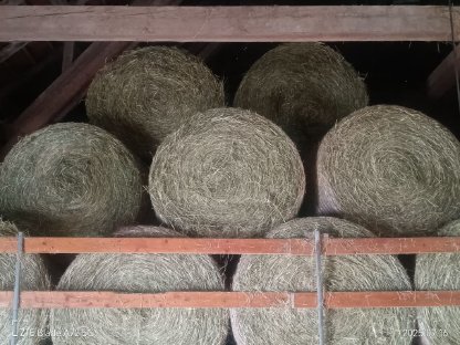 Bild 2:Tausche Heuballen gegen Schadholz