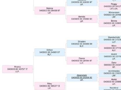 Bild 6:Tiroler Haflingerstute