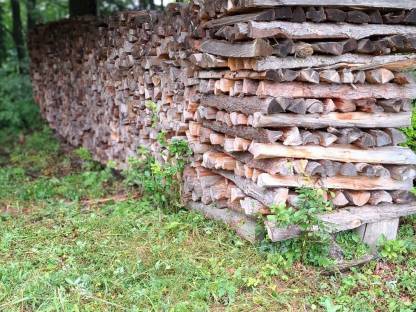 Brennholz