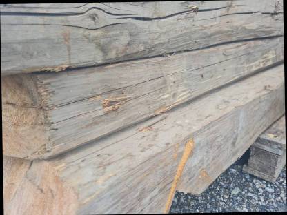 Bild 5:Gehackte Trame, Altholz