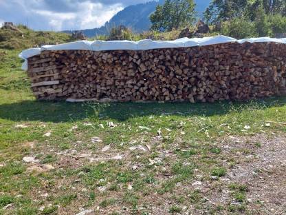 Brennholz