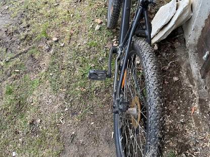 Bild 3:Spezialized Rad