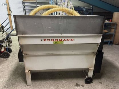 Weintraubenrebler