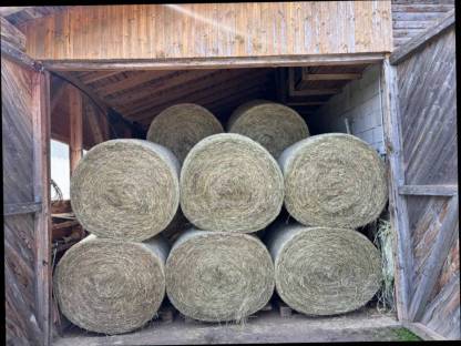 Bild 3:Heu in Rundballen