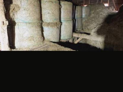 Bild 5:Heu Heuballen Rundballen Ernte 2024