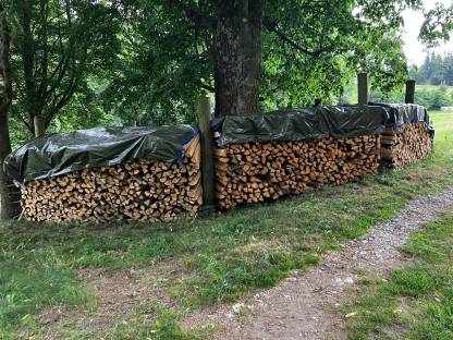 Brennholz