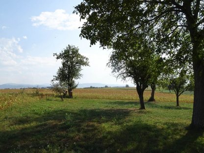 Bild 6:Verkauf: Bauernhof in Einzellage mit ca. 2,7 ha Grund