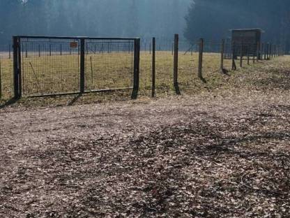 Bild 2:Landwirtschaftlicher Nutzgrund