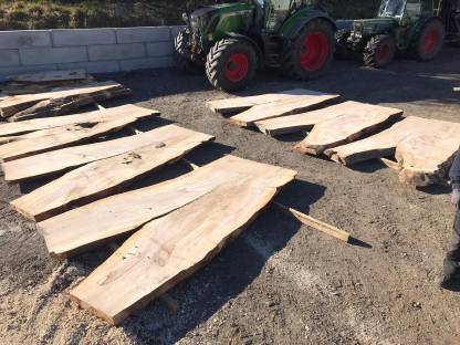 Bild 2:Tischlerholz, Holzpfosten, Eiche, Buche, Esche