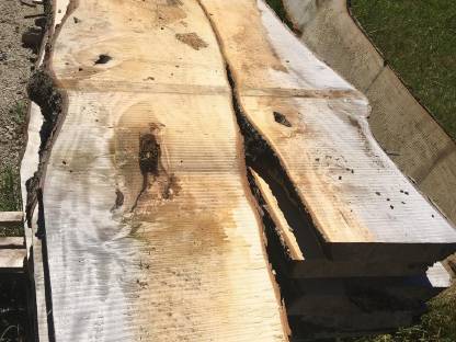 Bild 2:Tischplatte Kastanie