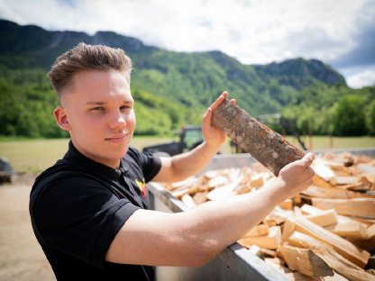 Bild 7:Buchenbrennholz, Hartholz trocken und ofenfertig, Zustellung