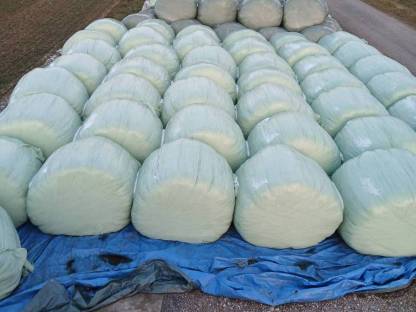 Bild 2:Silageballen
