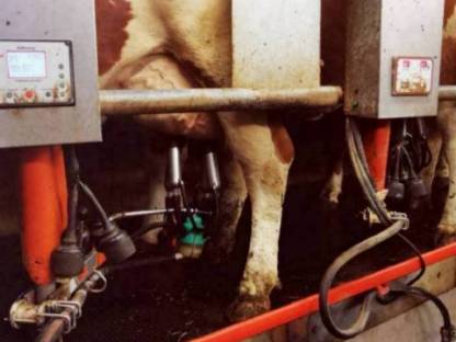 2x6 Melkstand Happel