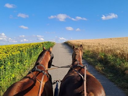 Bild 2:Freizeitgespann