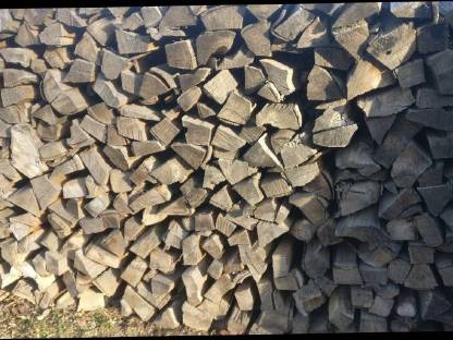 Bild 2:Buche Brennholz