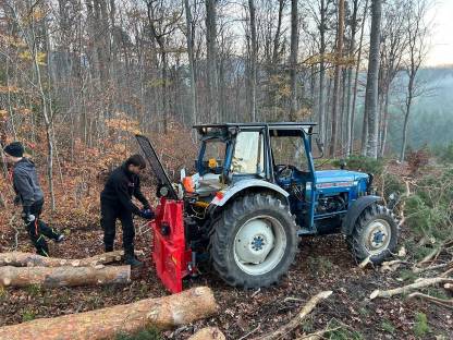 Bild 4:Holzschlägerung, Durchforstung, Windbruch