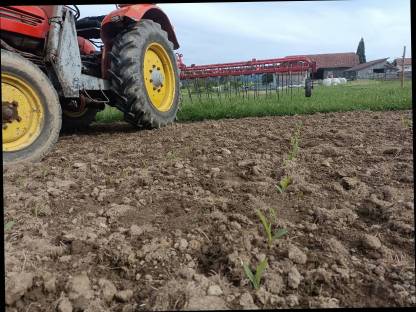 Bild 3:Lely Striegel