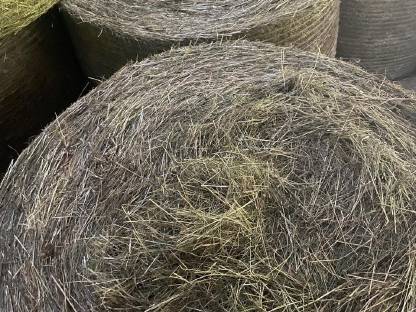 Bild 2:Heu Rundballen