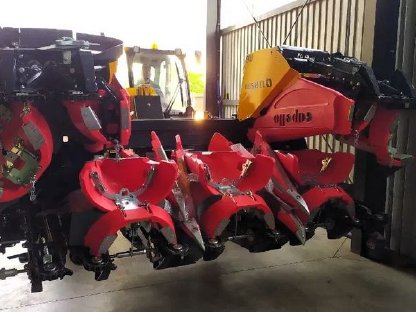 Bild 3:Capello Quasar R6 Maispflücker (2025) Neu von einem italienischen Hersteller