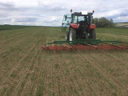 Schreiber Hackstriegel 6 m