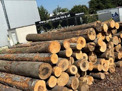 Bild 3:Buchenbrennholz