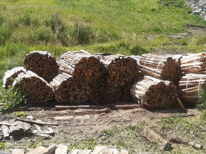 Brennholz trocken gebündelt