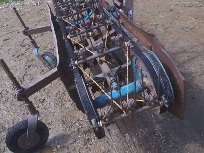 Bild 5:Heu Blitz Vogel und Noot