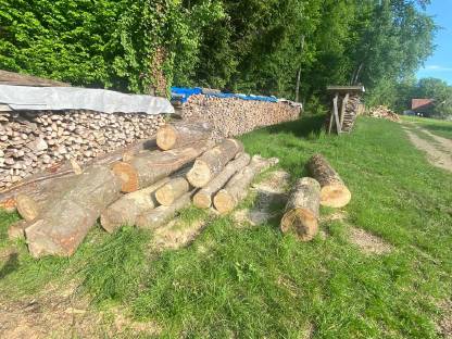 Bild 6:Brennholz