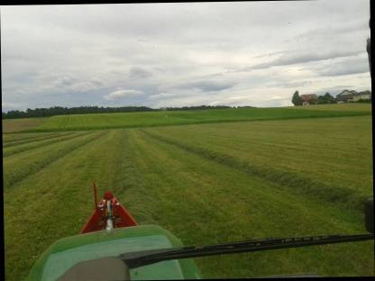 Suche Bio Triticale und Gerste