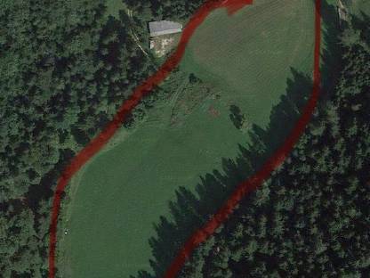 Bild 3:Sommerpferdeweide