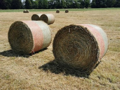 22x Rundballen Heu Pferdeheu 1,20m