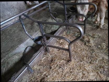 Suche Nackenriegelaufstallung