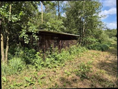 Bild 2:Voliere Hühnerstall Fasane Vögel