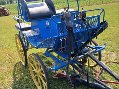 Bild 5:Pferdekutsche